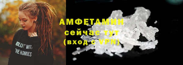 мет Лагань