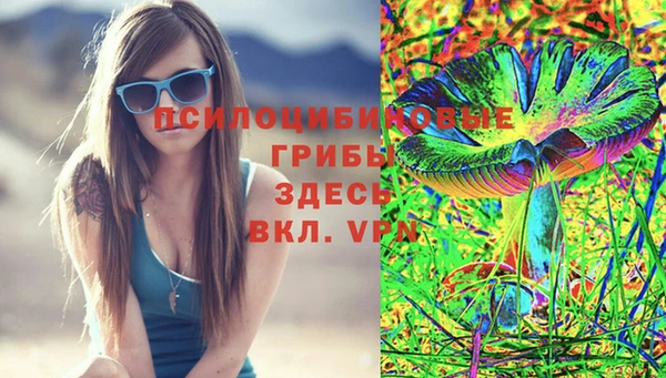 первитин Лабытнанги