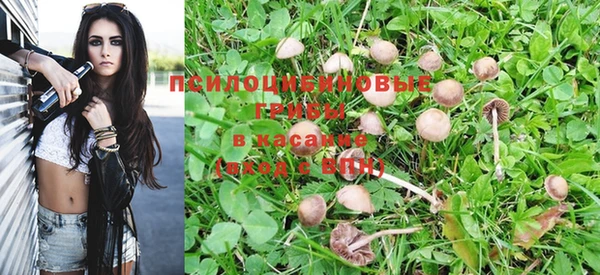 мескалин Санкт-Петербург
