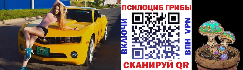 площадка клад  KRAKEN маркетплейс  Галлюциногенные грибы Magic Shrooms  Тверь  продажа наркотиков 